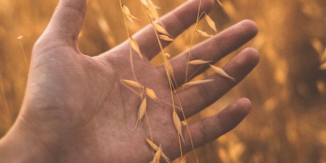 Mystikové z údolí Rýna